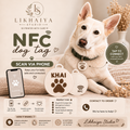 NFC Dog Tags